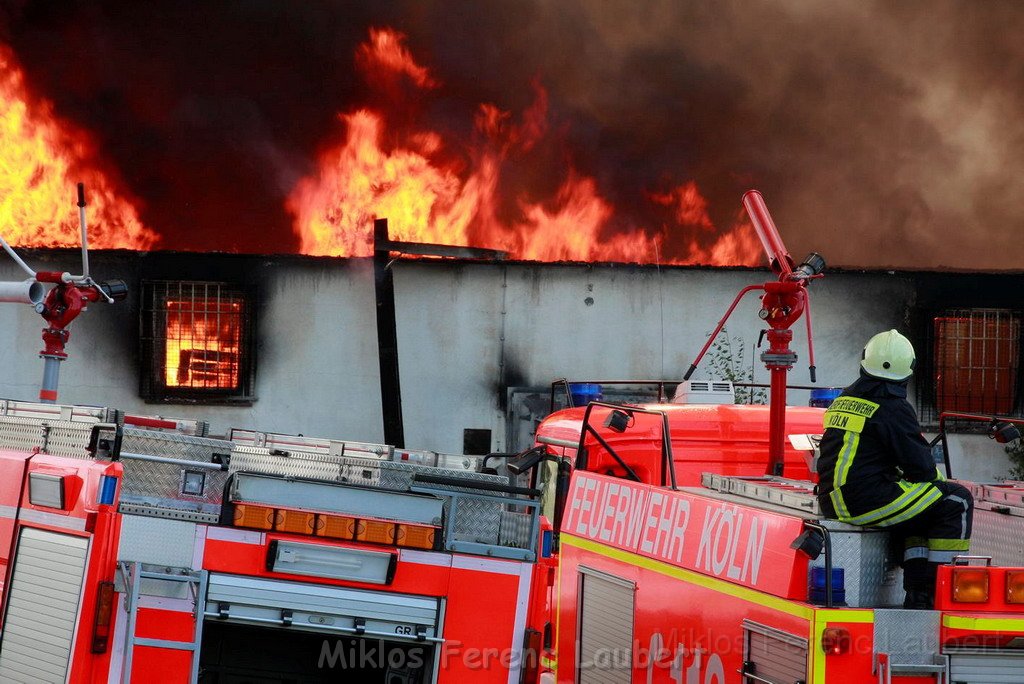 Feuer Koeln Ossendorf Butzweiler Hof neben IKEA P020.jpg